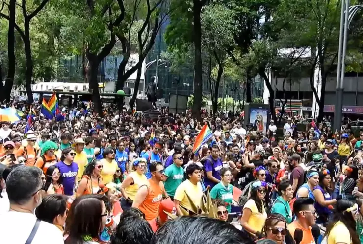 Marcha del orgullo VLA