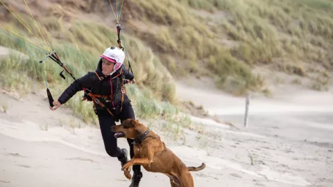 Tiktoker se lanza del paracaídas con su perro