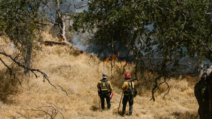 Estrategias para prevenir incendios forestales