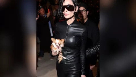 El nuevo look de Demi Moore que encendió las redes