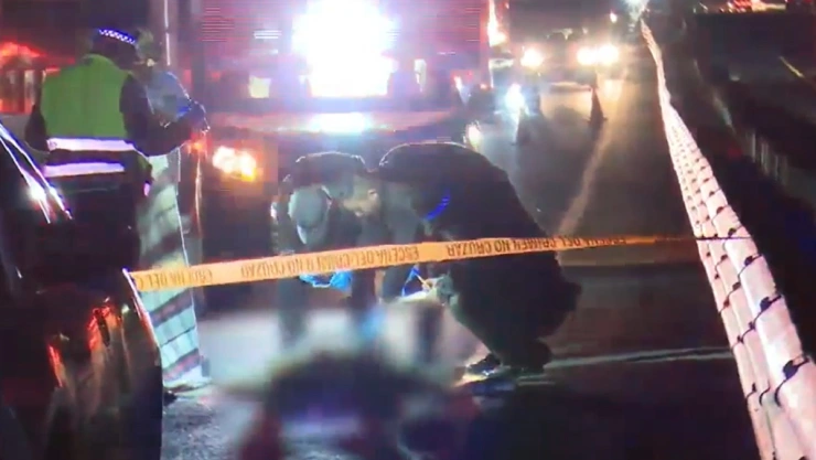 arrollado en la autopista México-Puebla