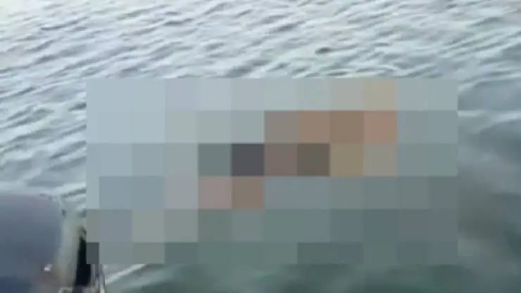 FOTOS_ HALLAN a hombre sin vida flotando en Chicxulub Puerto