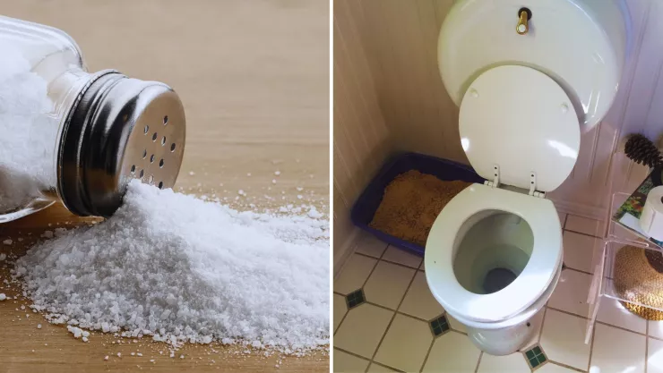 Sal en el inodoro: una excelente opci&oacute;n para un ba&ntilde;o sin bacterias