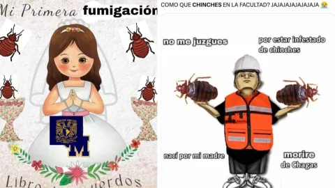 "¡Recuerdo de mi primera fumigación de chinches en la UNAM!”