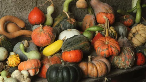 El mejor ritual con calabazas para atraer la abundancia durante octubre 2026