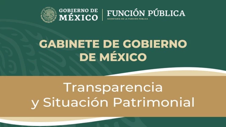 Declaracion patrimonial de la funcion publica