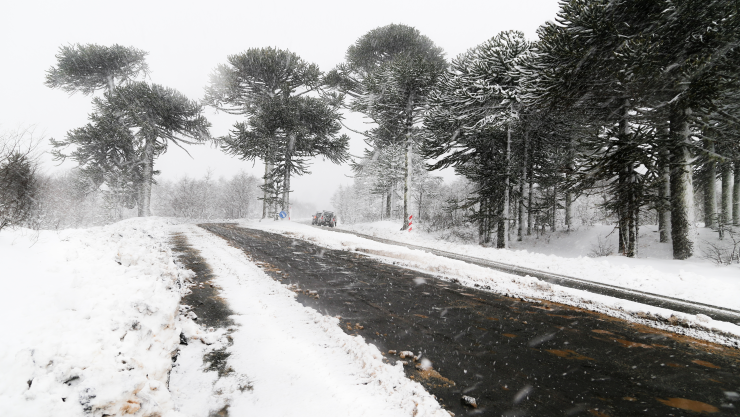 Caída de nieve México - Carretera en zona de bosque cubierta de nieve.