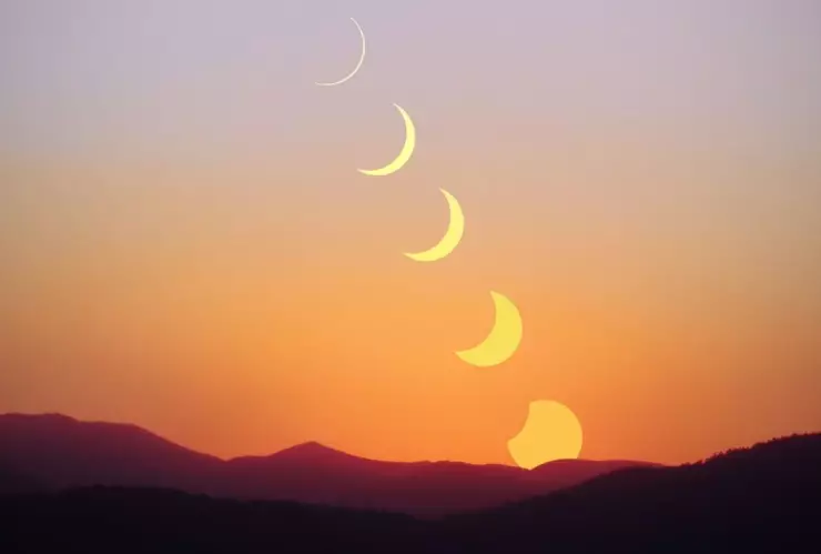 ¿Lo notaste? Esto fue lo que pasó con la temperatura y los animales durante el Eclipse Solar 2024