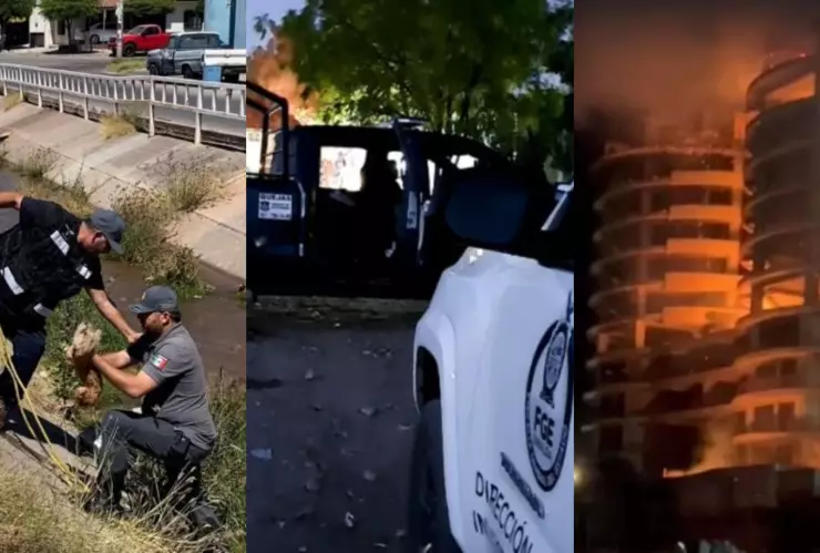 Noticias de Sinaloa hoy martes, 2 de abril de 2024