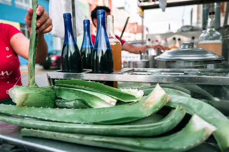 Los beneficios del jugo de sábila en ayunas
