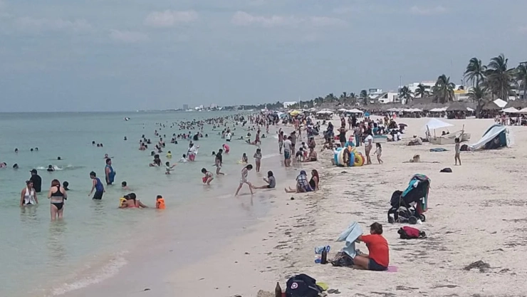 Marea roja en Yucatán: ¿Qué me podría pasar si me meto al mar?