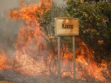 Incendios en Europa dejan destrucción: España pierde 135 mil hectáreas, Grecia moviliza 5 mil bomberos y Turquía combate llamas con 19 aviones.