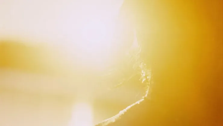 ¿Cómo afecta el calor al cerebro? Estos son sus efectos en la salud mental