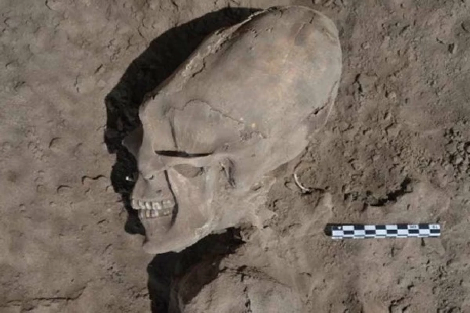 Arqueólogos encontraron 13 cráneos deformados en Sonora