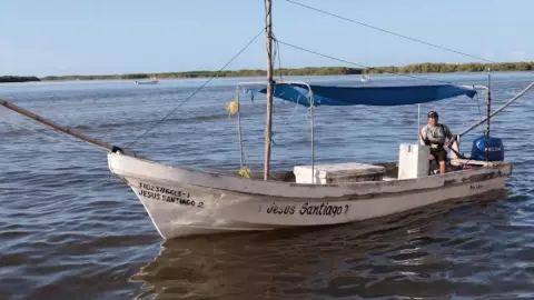 Aumentan a 32 mil toneladas la cuota de captura de pulpo en Yucatán