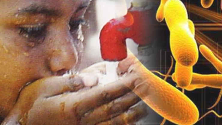 cólera qué es síntomas