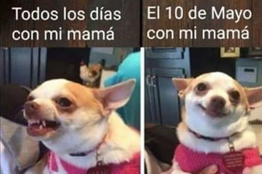 Día de las Madres en México: Los mejores memes
