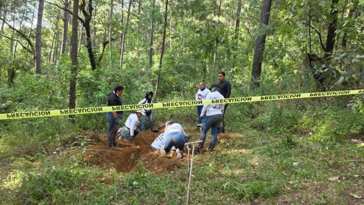 ¡Última hora, Uruapan! Encuentran FOSA CLANDESTINA con 4 CUERPOS en predio ligado al Diputado Carlos Bautista .jpg