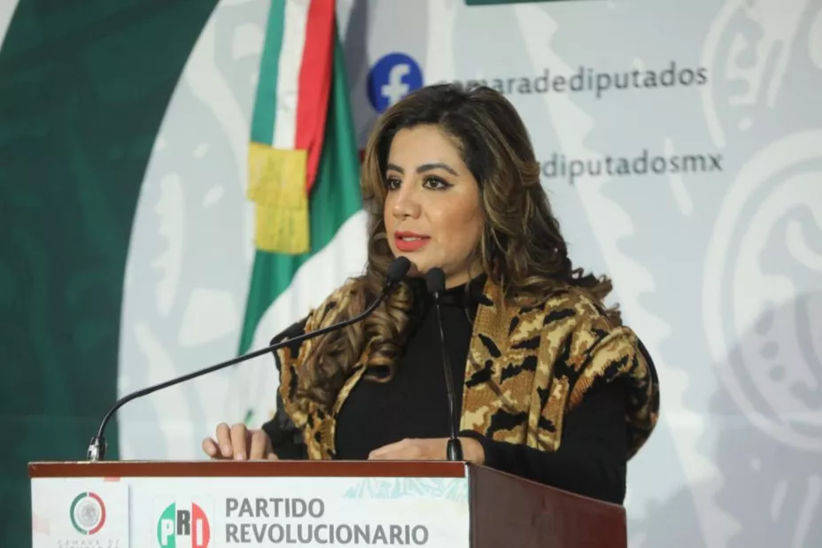 legisladora del PRI.jpg