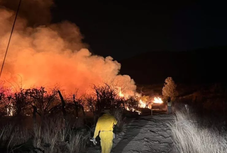 Fuego arrasa con predios de Mazamitla; 50 brigadistas se encuentran en el Cerro El Canelo HOY 13 de mayo