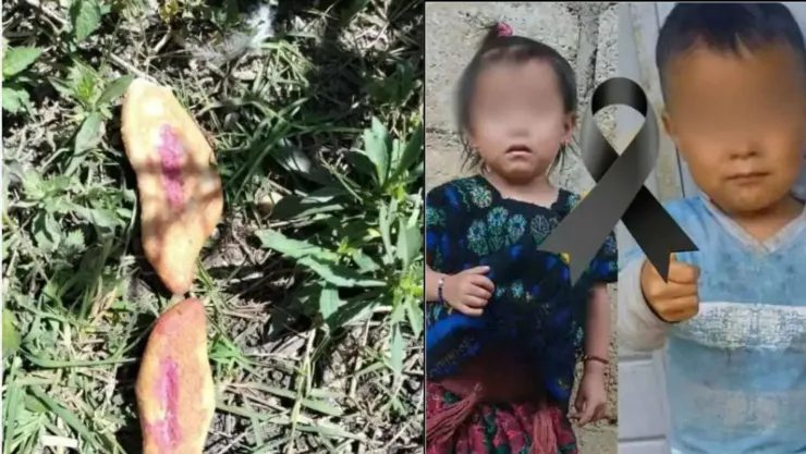 Colocan pan envenenado para matar perros en Chiapas; 3 niños mueren por comérselo