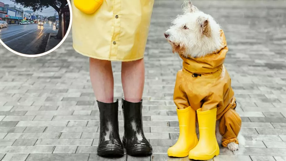 Lluvias Tijuana hoy ¿A qué hora lloverá más fuerte este miércoles 12 de febrero de 2025?