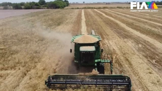 ¡Sonora en alerta máxima! Sequía en México deja herido al sector de la ganadería y agricultura