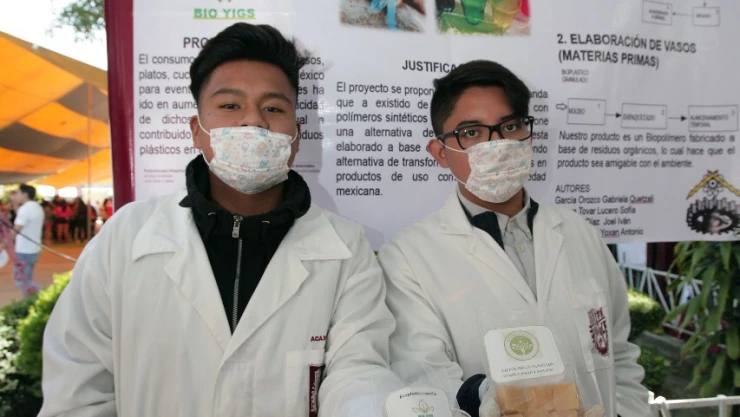 IPN1