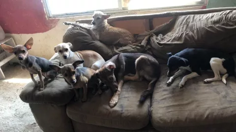 incendio refugio Nayarit