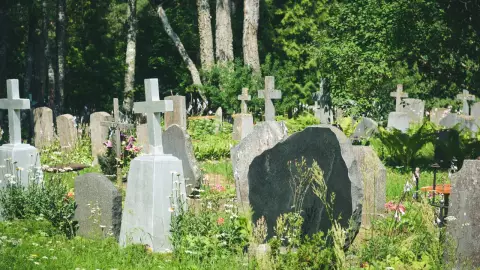 ubicación de tumbas