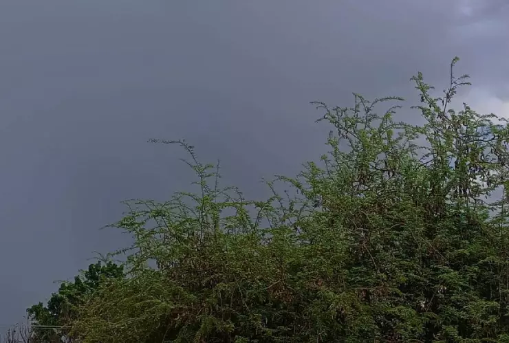 Clima hoy en Yucatán 16 de octubre de 2024_ Señalaron la hora exacta de las lluvias en Mérida hoy