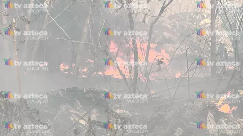 incendo periferico dzitya