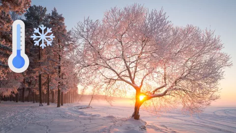 Clima en Aguascalientes ¿Llegará el frío intenso durante el mes de enero 2025
