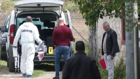 ¡Tragedia! Dos perros pitbull asesinan brutalmente a un bebé de 13 meses