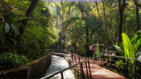 CERRARÁN temporalmente Parque Chapultepec de Cuernavaca.