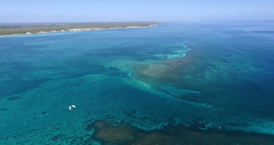 arrecifes de coral_UNAM-DGCS.jpg