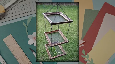 tendedero hierbas.jpg