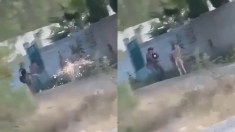 maltrato animal en Querétaro; prenden cohete a burro en Cadereyta