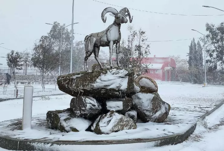 Protección Civil se prepara por fenómeno El Niño en BC; traerá nevadas y lluvias