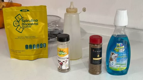 día-del-perro-2023-21-de-julio-México-cuanto-cuesta-tener-un-peludito