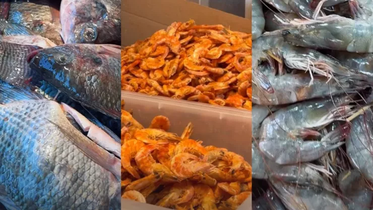 Cuaresma 2026: lista de pescados más caros y cómo gastar menos al comprarlos