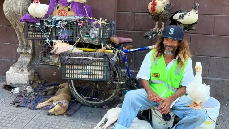 Perrito del Señor de los Patos es ATROPELLADO, FOTO