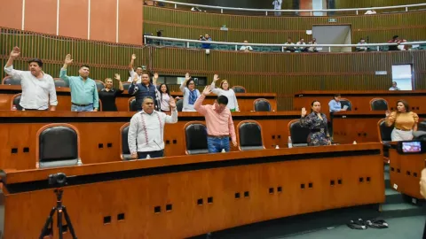 Aprueban la “Ley Camila” en Congreso de Guerrero, ¿en qué consiste la legislación?