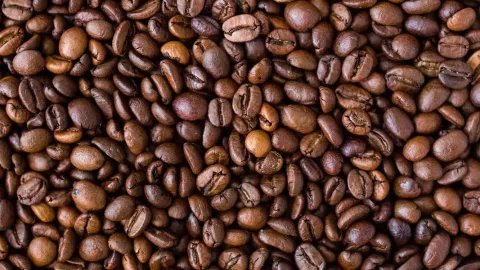 dia internacional del cafe