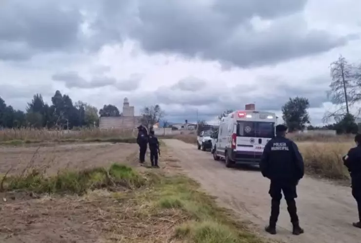 jauría de perros en Xiloxoxtla