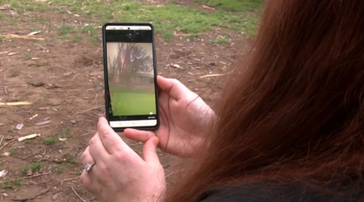 rayo-impacta-casa-arbol-dos-veces-video