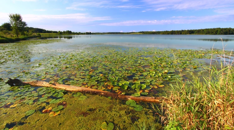 Parque Estatal Shabbona Lake