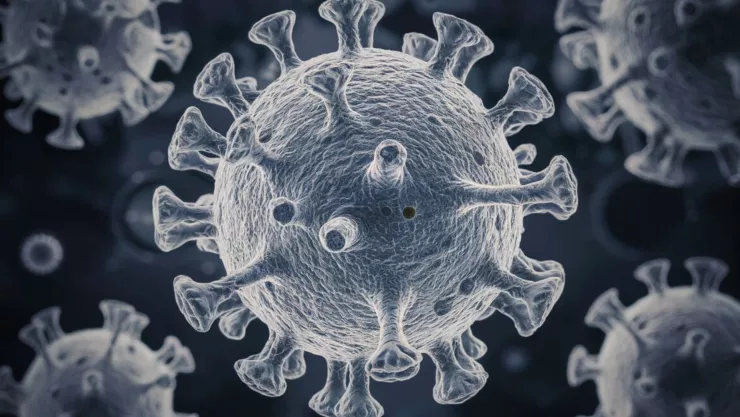 Alerta por contagios de virus Coxsackie cómo evitar contraerlo.jpg