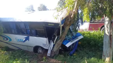 Accidente en carretera Torreón-San Pedro Autobús de pasajeros choca árbol.jpeg