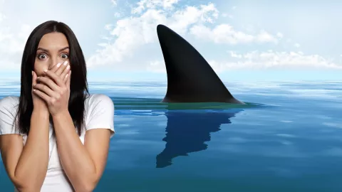 Las 2 playas de Oaxaca donde es más probable que te salga un tiburón, según la IA